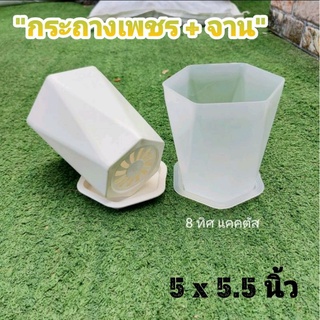 กระถาง เพชร 5 นิ้ว + จาน  (สูง) // กด 50 ชิ้น 1000 บาท -- 6เหลี่ยมเพชร ทรงสูง+ จาน กระถางพลาสติก