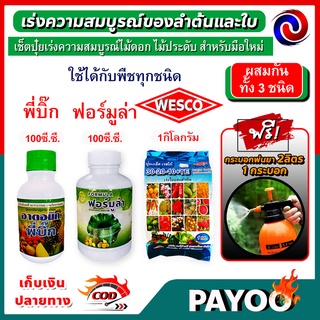 เช็ตปุ๋ยเร่งความสมบูรณ์ พี่บิ๊ก100มล.(ฮอร์โมน)+WESCO (30-20-10)1กก.+ฟอร์มูล่า100มล.(สารจับใบ)+กระบอกพ่น2ลิตร/สีส้ม