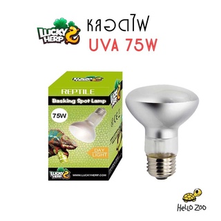 Lucky Herp หลอดไฟ UVA 75W สำหรับกกไฟกลางวัน (กล่องเขียว) [LH01]