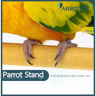 Parrodise PDS-01 คอนลับเล็บ คอนยืนนกแก้ว คอนนกแก้ว คอนลับเล็บนก คอนลับเล็บชูก้า กระรอก สีพาสเทล