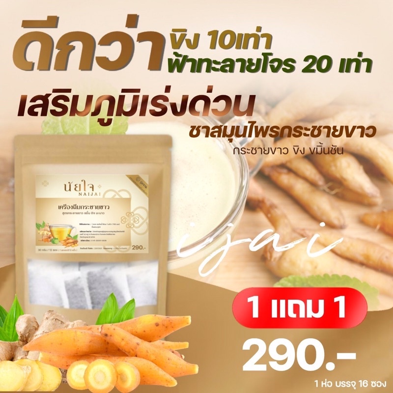 ชากระชายขาว ขิง ขมิ้นชัน มะนาว (2 packs) มี อย. สะอาดปลอดภัย และได้รับการดูแลจาก CTM