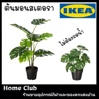 Ikea ไม้ประดิษฐ์ในกระถาง ต้นมอนสเตอรา