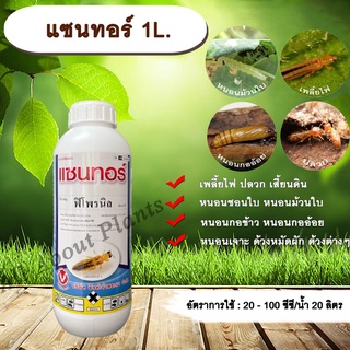 แซนทอร์ 1L. ฟิโพรนิล สารกำจัดแมลง เพลี้ยไฟ ปลวก หนอนชอนใบ หนอนม้วนใบ หนอนกอข้าว หนอนกออ้อย หนอนเจาะ