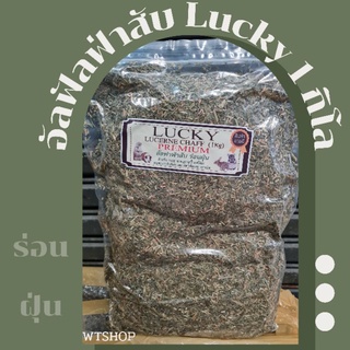 หญ้าอัลฟัลฟ่าสับ Lucky อัลฟาฟ่าสับ อัลฟัลฟ่าสับร่อนฝุ่น 1กิโล (Lucky)