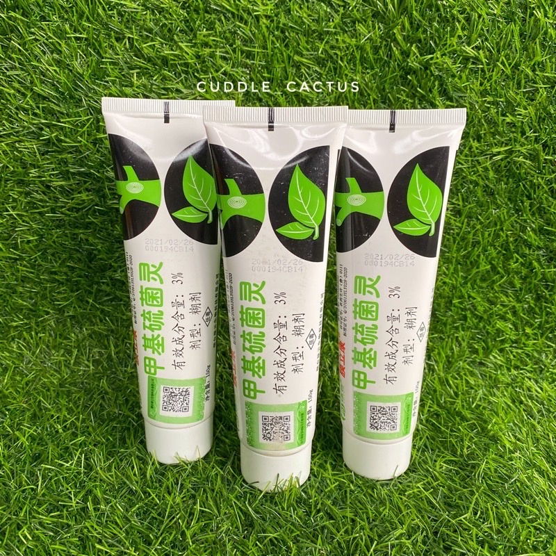 พร้อมส่ง* ยาทาแผลต้นไม้ ขนาด150กรัม ยาต้นไม้ ยาทาแผลบอนไซ มอนสเตอร่า พิโล เงินไหล กระบองเพรช อุปกรณ์บอนไซ