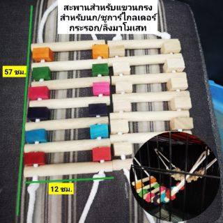 สะพานเชือก สะพานไม้ สะพานของเล่นสำหรับนก ชูการ์ไกลเดอร์ กระรอก กระแต บุชเบบี้ และลิงจิ๋วต่างๆ