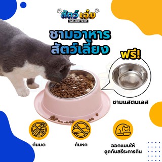 [สัตว์เอ๋ย! ถูกสรีระการกิน กันมด กันหก] ชามอาหารสัตว์เลี้ยง ชามอาหารสุนัข ชามอาหารหมา ชามอาหารแมว แถมถ้วยแสตนเลส