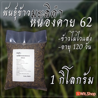 พันธุ์ข้าว มะลิดำหนองคาย 62 กข83 ขนาด 1 กก.สำหรับทดลองปลูกในวงบ่อเพื่อศึกษา