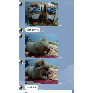 Dogfin รองเท้าคลุกไก่อบแห้ง เหมาะสำหรับน้องหมาทุกสายพันธุ์