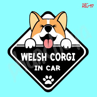 DIC47 สติ๊กเกอร์ ติดรถ Welsh Corgi Dog In Car สติ๊กเกอร์ติดรถ แต่งรถ car sticker