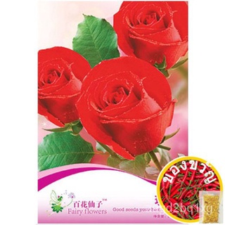 &lt;Greenheavenz&gt; Fairy Flowers Flower Seeds Red Rose Biji Benih เมล็ดกุหลาบแดงนางฟ้าร้อยดอกไม้ F039เด็ก/กางเกง/เสื้อ/หมวก/