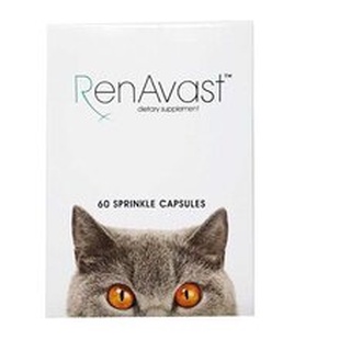 Renavast อาหารเสริมบำรุงไต สำหรับแมว 1กล่อง60เม็ด Exp02/2024