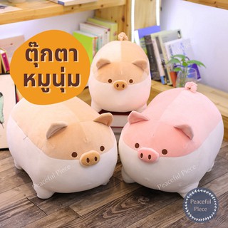 🎉พร้อมส่ง 🐷ตุ๊กตาหมู ตุ๊กตาหมูนุ่มนิ่ม ตุ๊กตาหมูน้อย ตุ๊กตาน่ารัก นุ่มนิ่ม