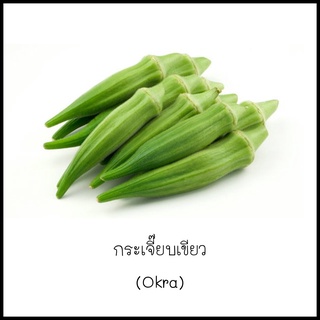 เมล็ดกระเจี๊ยบเขียว (Okra) 15เมล็ด [10 แถม 1 คละได้]