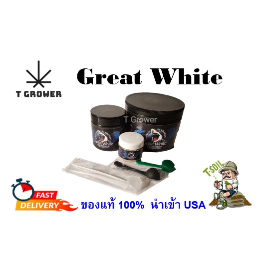 My Image 31
