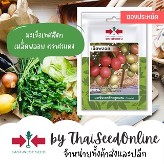 VP3 ซฟ เมล็ดพันธุ์ มะเขือเทศสีดาลูกผสม เม็ดพลอย 40เมล็ด ตราศรแดง มะเขือสีดา Small Tomato