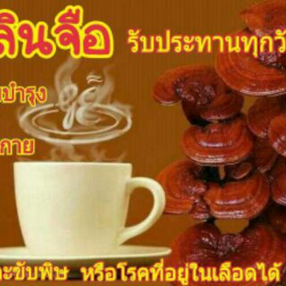 กาแฟปรุงสำเร็จรูปผสมเห็ดหลินจือแดงกาโน 3 in1  เครื่องดื่มเพื่อสุขภาพที่ดี