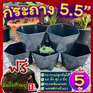 กระถาง 5 นิ้ว เซ็ต 5ใบ🌵แถมฟรี 🌵ดินใบก้ามปูหมัก 1กก. กระถางต้นไม้ กระถางพลาสติก แข็งแรงทนทาน