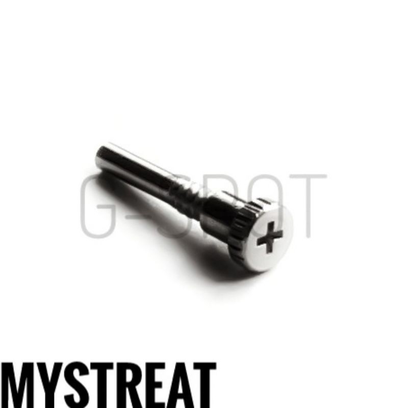 SCREW GDX6900 FOR BAND STRAP