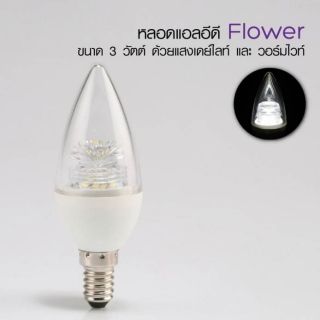 หลอดแอลอีดี ทรงจำปา LED Flower 3W E14 DL/ WW