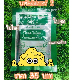 บาซิลลัสเบอร์ 2 🦠ควบคุมโรคทางใบ