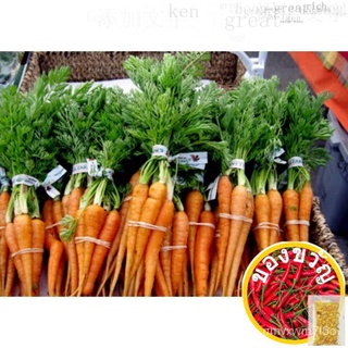 เมล็ดพันธุ์ เบบี้แครอท 100 เมล็ด Baby Carrot บำรุงผิวพรรณ บำรุงสายตา ปลูกง่าย花园/母婴/裙子/木瓜/向日葵/手链/香菜/男装/seeds/内裤/ PYXP