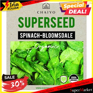 เมล็ดพันธุ์ปวยเล้ง ชัยโย 35 เมล็ด เมล็ดพันธุ์ SPINACH-BLOOMSDALE (ORGANIC) 35 SEEDS ต้นไม้และเมล็ดพันธุ์