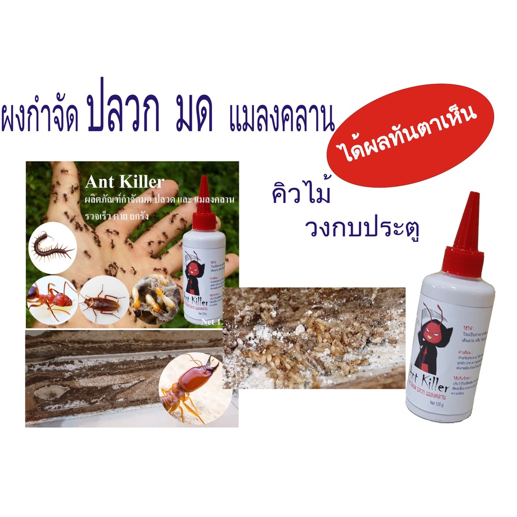 กำจัดปลวก ผงกำจัดปลวก ทันตาเห็น