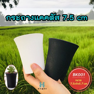 กระถางแคคตัส กระถางไม้อวบ กระถางปากแตร กระถางทรงสูง BK001 ขนาด 7.5x9x5.7 cm