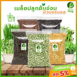 เมล็ดต้นอ่อน Organic  ทานตะวัน ข้าวสาลี โต้วเหมี่ยว ไควาเระ ต้นอ่อนผักบุ้ง  / (Organic Seeds) GREENHUG