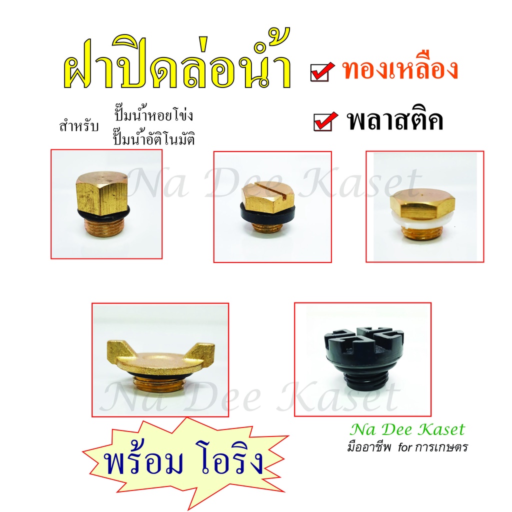 สกรูล่อน้ำ ทองเหลือง ฝาปิดที่ล่อน้ำ ปั๊มหอยข่อง ฝาจุกกรอกน้ำเข้าปั๊มน้ำauto สกรูถ่ายน้ำเกียร์ใน+โอริ