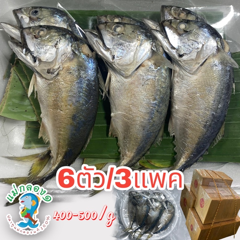 ปลาทูปลาทูนึ่งปลาทูแม่กลองแท้/size6ตัว/น้ำหนัก400-500กรัม