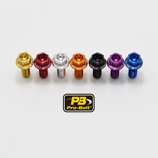 Pro-Bolt อลูมิเนียม หัวเรซสเปค M6x10,12,15,20,25,30,35mm