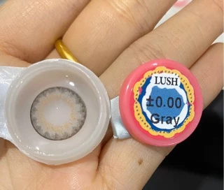 Wink lens (lush) ตาโต