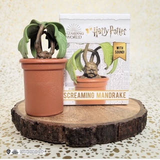 มินิทอย แฮร์รี่พอตเตอร์ ต้นแมนแดรก Harry potter screaming mandrake มีเสียงได้ *กล่องมีตำหนิ