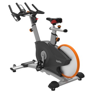 Goldmare Impulse Spinning Bike PS450