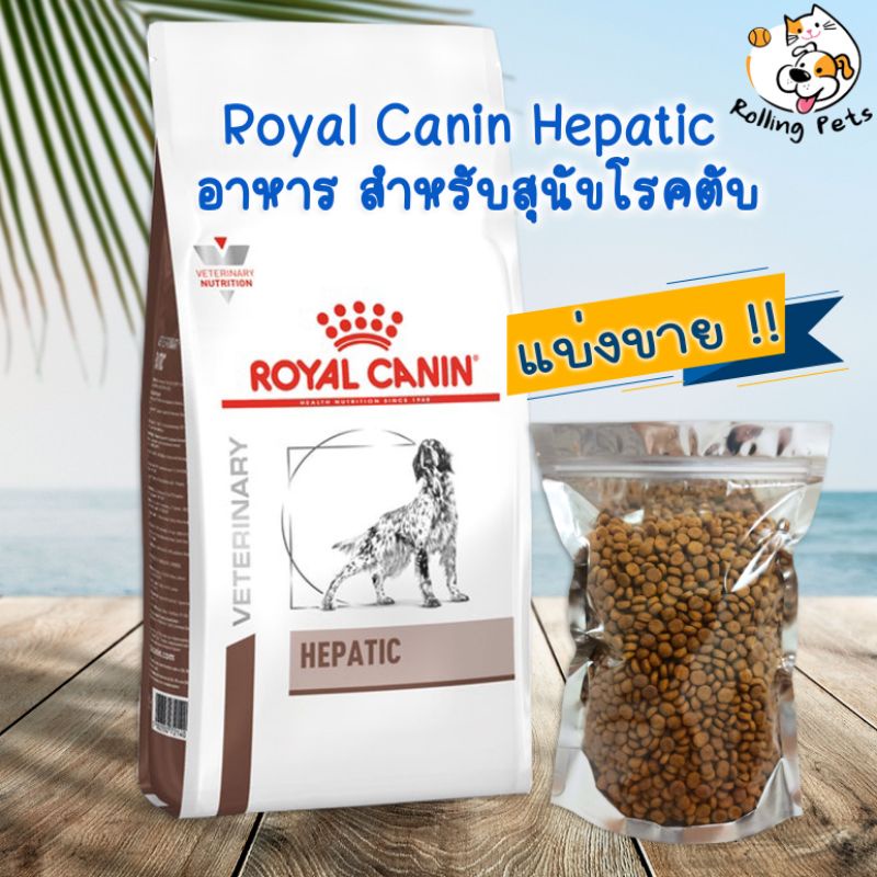 Royal Canin Hepatic สำหรับสุนัขโรคตับ แบ่งขาย