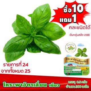 [ซื้อ10แถม1 + ฟรีคู่มือ] เมล็ดพันธุ์ โหระพาอิตาเลี่ยน เขียว ITALIAN BASIL  (0.5 กรัม 300 เมล็ด) ทำมะชาดฟาร์ม  ผักสลัด