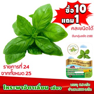 [ซื้อ10แถม1 + ฟรีคู่มือ] เมล็ดพันธุ์ โหระพาอิตาเลี่ยน เขียว ITALIAN BASIL  (0.5 กรัม 300 เมล็ด) ทำมะชาดฟาร์ม  ผักสลัด