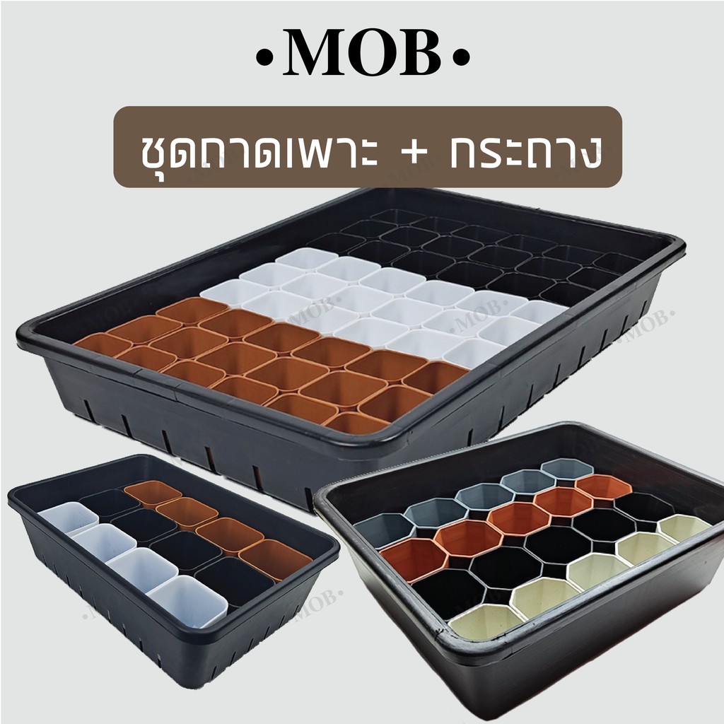 MOB เซ็ทถาดไดโซะใหญ่ พร้อมกระถาง 2 นิ้ว 54 ใบ หรือ 3 นิ้ว 24 ใบ ถาดเพาะ ต้นกล้า ต้นอ่อน