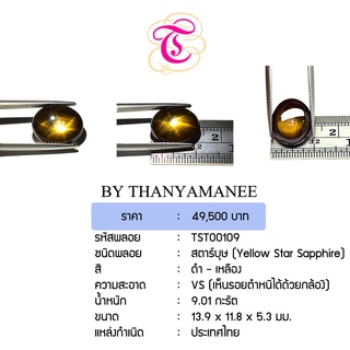 พลอยสตาร์บุษ  Yellow Star Sapphire ขนาด  13.9x11.8x5.3 มม. พลอยแท้ มีใบรับรอง