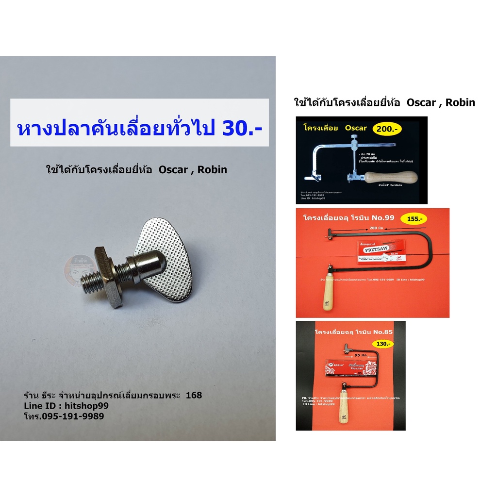 หางปลาคันเลี่อยทั่วไป
