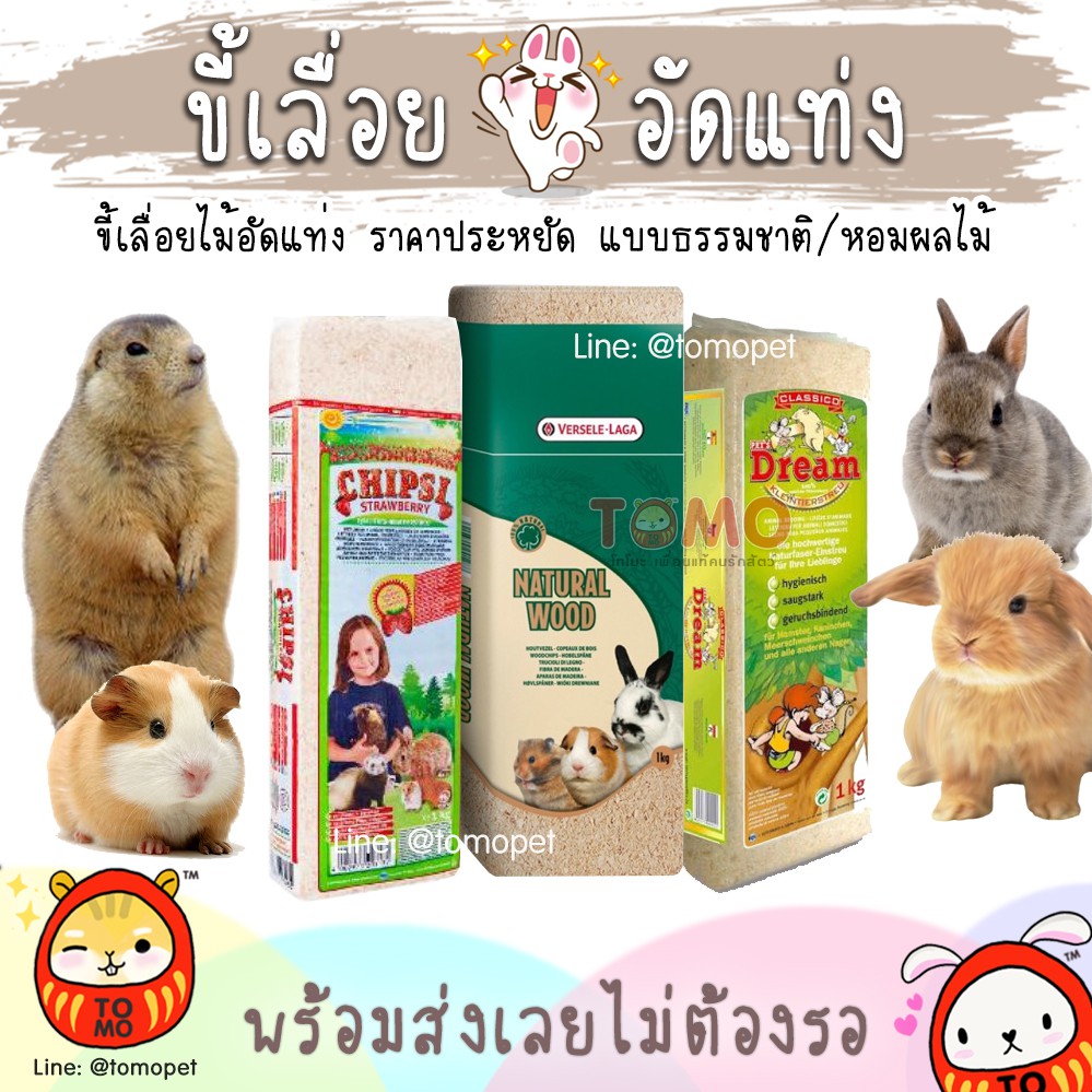 ร้านโทโมะ 💕 ขี้เลื่อย รองกรง อลิส, Chipsi, wildloft, Ono, Versele-Laga แกสบี้ กระต่าย รองซับมูลสัตว์