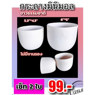 กระถางมินิมอลคละไซต์5.3"&amp;6"/เซ็ท2ใบ/ไม่มีจานรอง