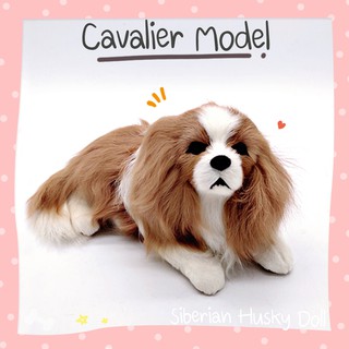 [Pre-Order] ตุ๊กตาหมาคาวาเลียร์ คิง ชาลส์ สแปเนียล Cavalier King Charles Spaniel ตุ๊กตาจำลอง สุนัข คาวาเลียโมเดล