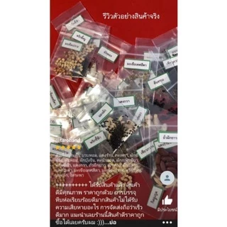 เมล็ดพันธุ์ผัก บรรจุซองซิป ซื้อ 10 แถม 1 คละได้ ชุดที่ 2