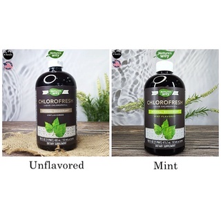 คลอโรเฟรช แบบน้ำ Natures Way® Chlorofresh Liquid Chlorophyll 480 ml