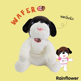 🐶✨ ตุ๊กตา สุนัขเวเฟอร์  กลิ่นหอมนาโนวนิลา แบรนด์ Rainflower🐶