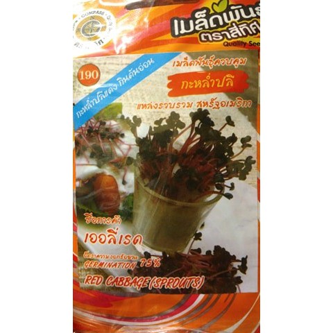 เมล็ดกะหล่ำปลี (เออลี่เรด) ต้นอ่อนกะหล่ำปลี 10 แถม 1คละได้  เมล็ดผัก เมล็ดพันธุ์ ตรา สี่ทิศ 4ทิศ กะหล่ำปลีแดง