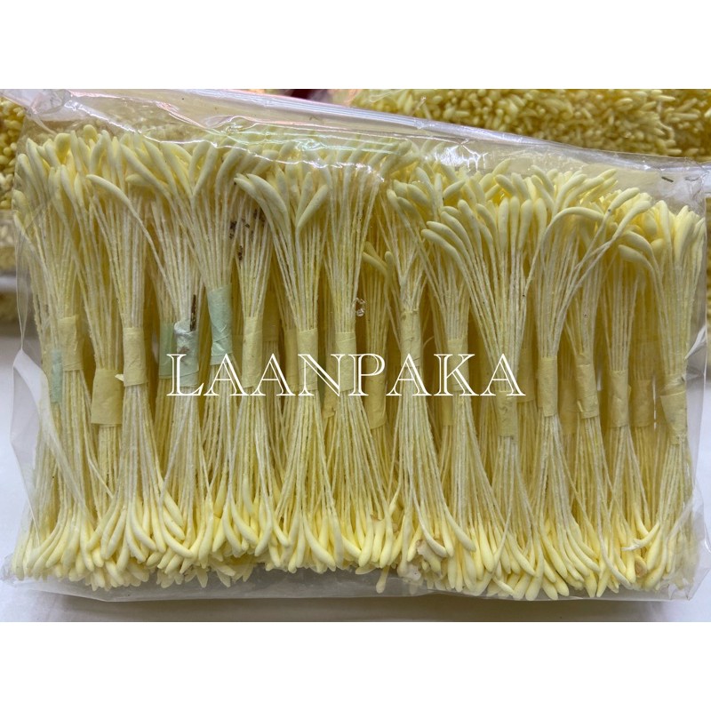 เกสรบัวใหญ่ สีครีม เกสรหัวไอติมสีครีม